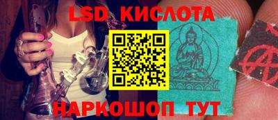 гашик Добрянка