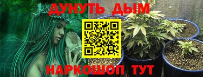 мяу мяу мука Дмитров