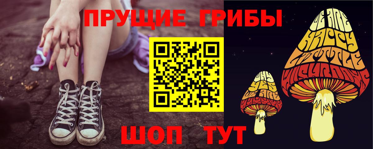 Псилоцибиновые грибы ЛСД  Вход с VPN  Нурлат  Галлюциногенные грибы мицелий 